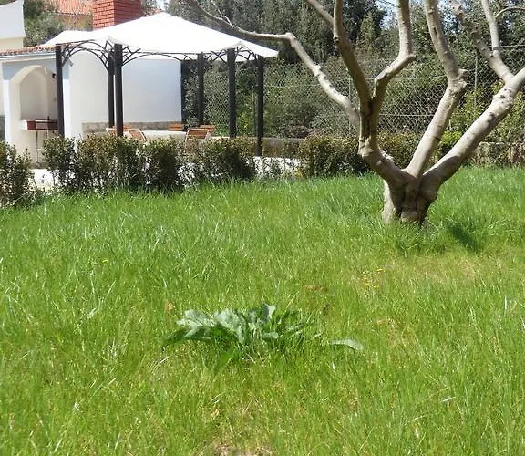 Tonka Пакоштане